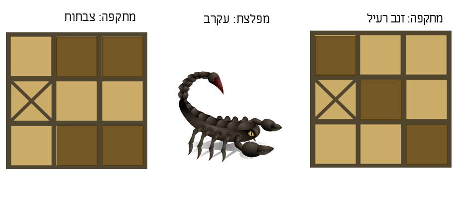 תמונה 10