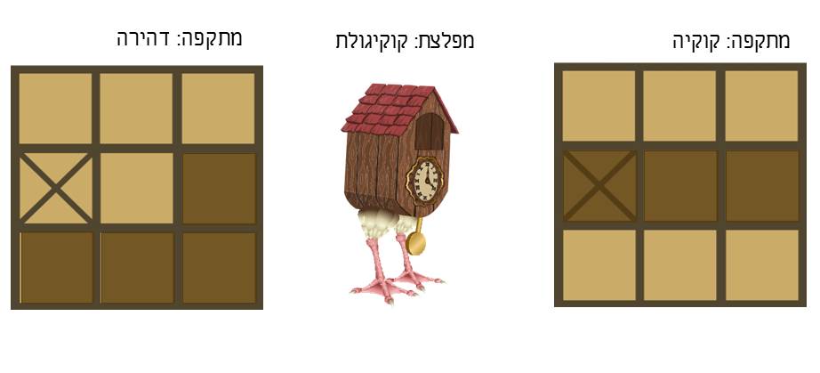 תמונה 11