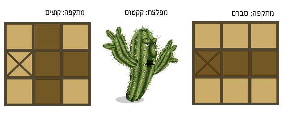 תמונה 12