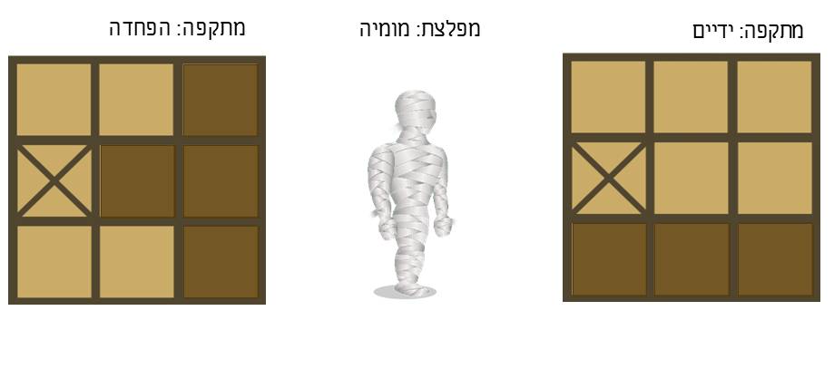 תמונה 13