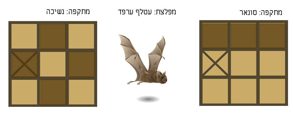 תמונה 17