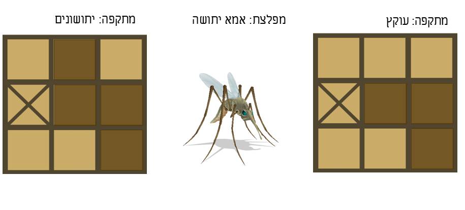 תמונה 6